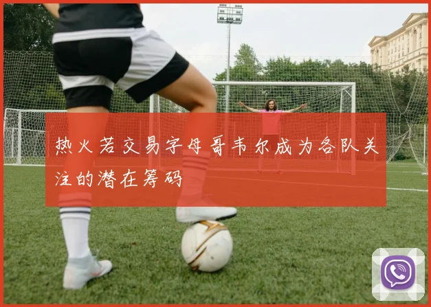 热火若交易字母哥韦尔成为各队关注的潜在筹码